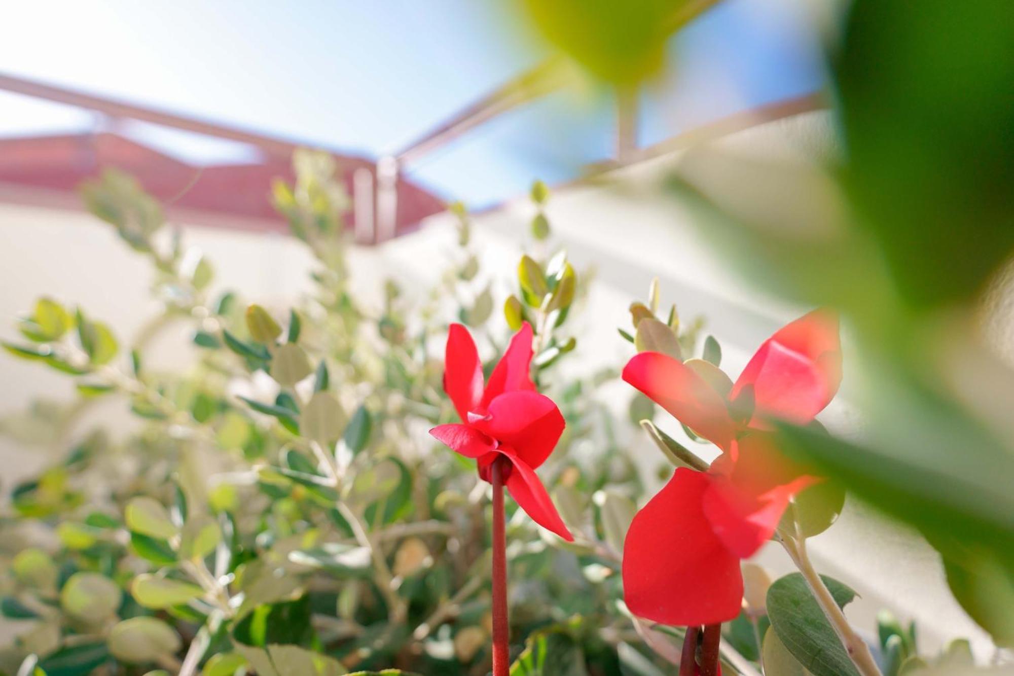 Guest House Deidda - Ts Rooms B&B San Sperate Luaran gambar